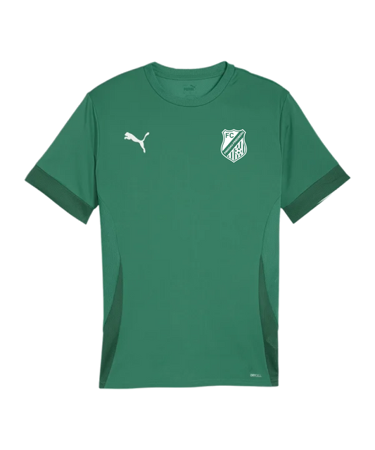 PUMA teamGOAL Matchday Trikot Kids Grün FC Pinggau-Friedberg