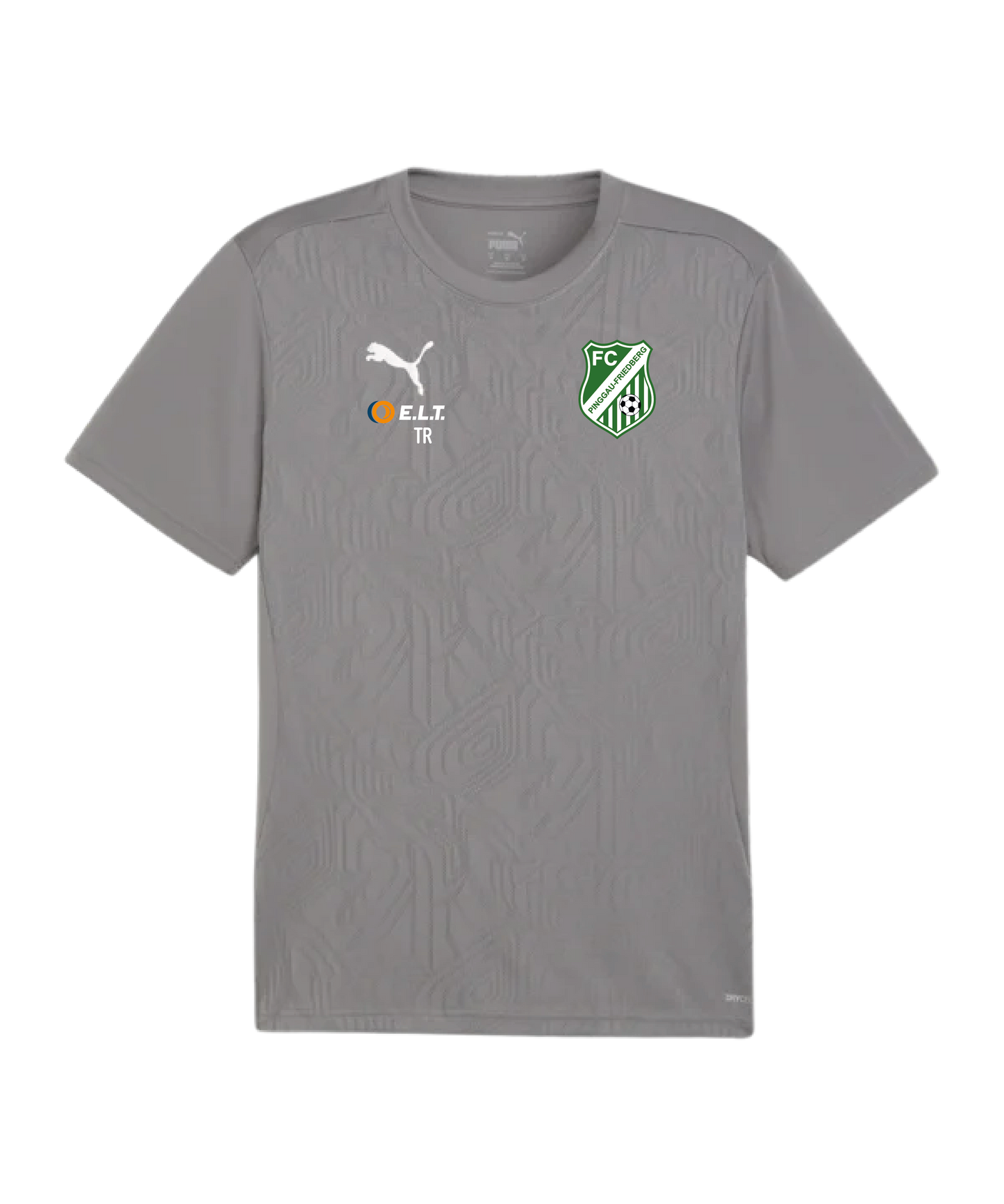 PUMA teamFINAL Trikot Grau FC Pinggau-Friedberg