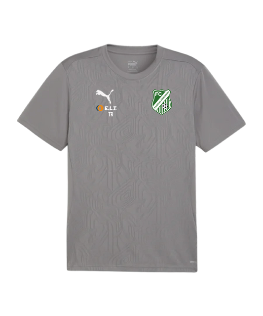 PUMA teamFINAL Trikot Grau FC Pinggau-Friedberg