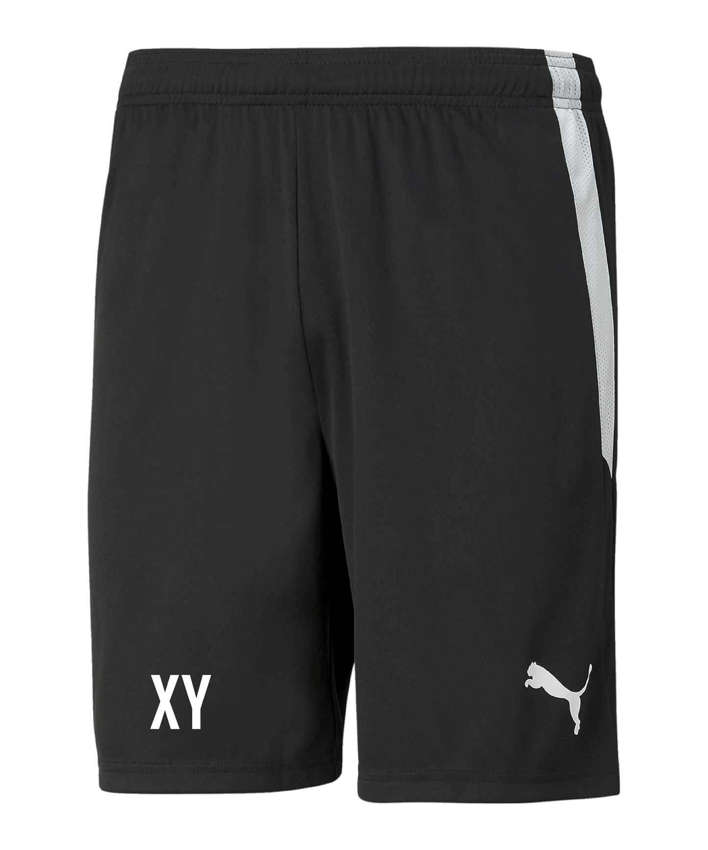 PUMA teamLIGA Shorts Kids Schwarz Weiss SV Trieben