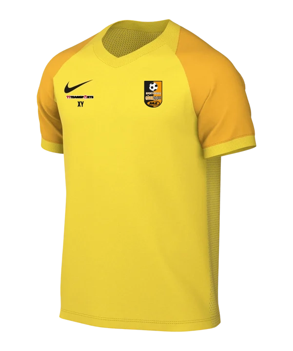 NIKE Trophy VI Trikot Gelb SV Gössendorf