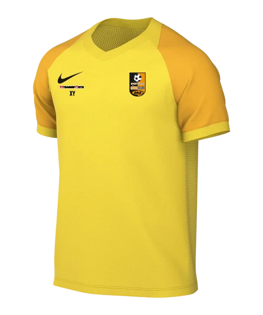 NIKE Trophy VI Trikot Gelb SV Gössendorf
