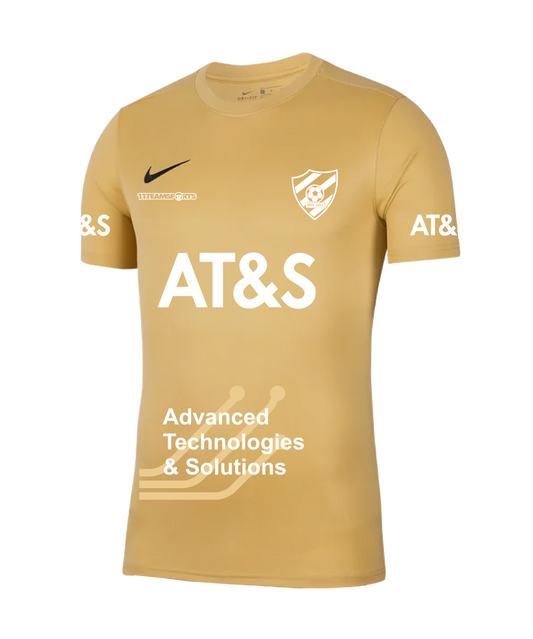 Nike Park VIII Trikot Gold F729 SV Hinterberg