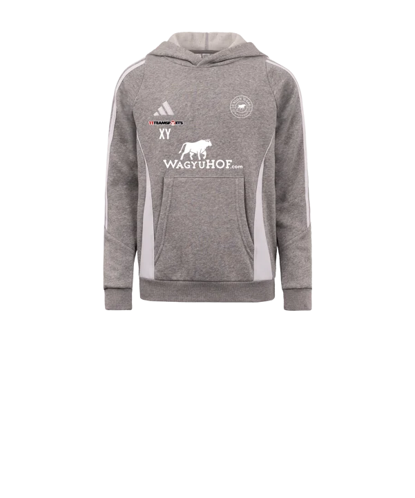 adidas Tiro 24 Hoody Kids Grau Weiss Union Haag