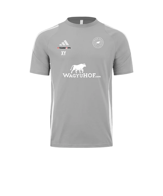 adidas Tiro 24 T-Shirt Grau Weiss Union Haag