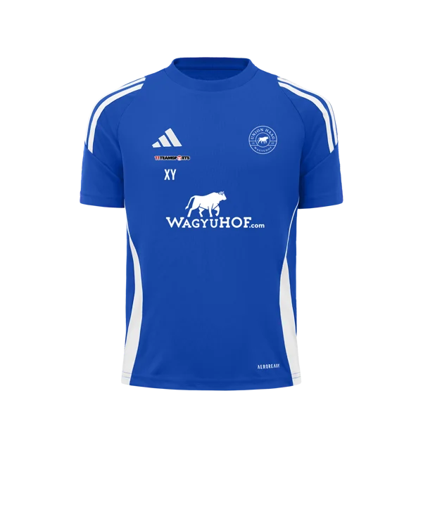 adidas Tiro 24 Trikot Blau Weiss Union Haag