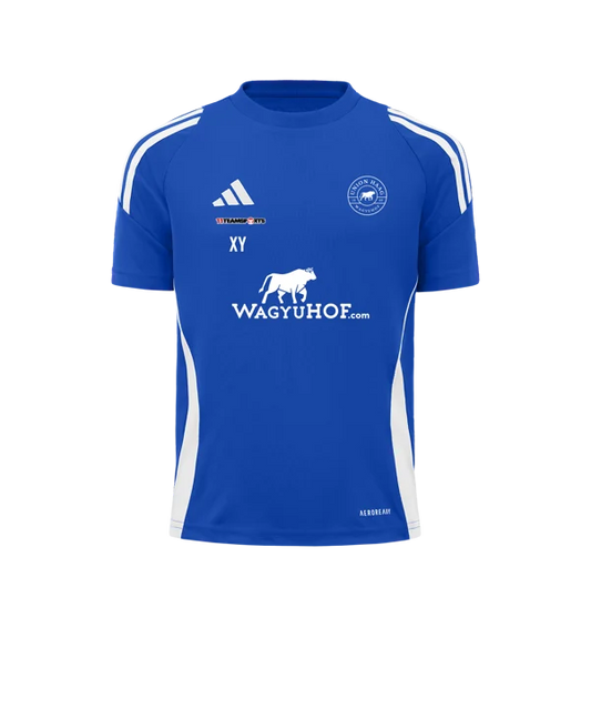 adidas Tiro 24 Trikot Blau Weiss Union Haag