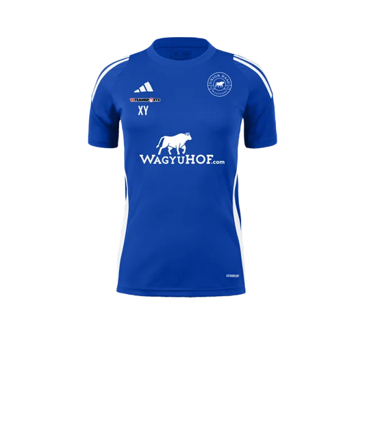 adidas Tiro 24 Trikot Damen Blau Weiss Union Haag