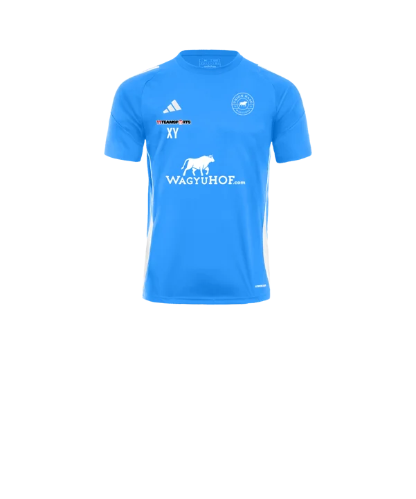 adidas Tiro 24 Trikot Kids Blau Weiss Union Haag