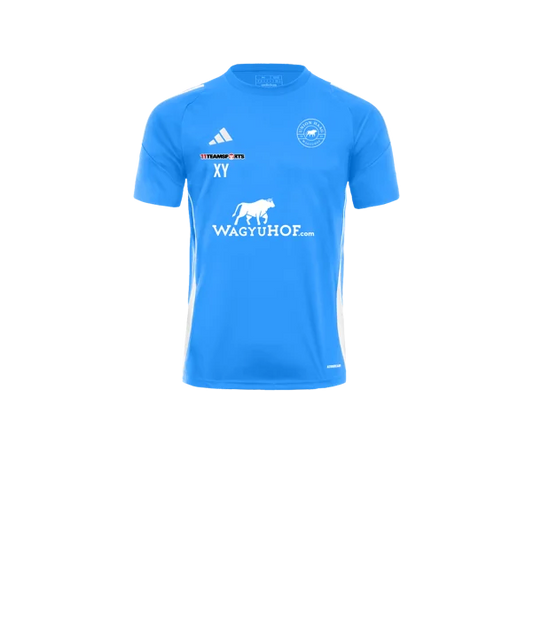 adidas Tiro 24 Trikot Kids Blau Weiss Union Haag