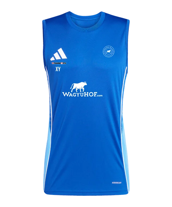 adidas Tiro 25 Competition Tanktop Blau Union Haag