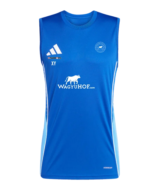 adidas Tiro 25 Competition Tanktop Blau Union Haag
