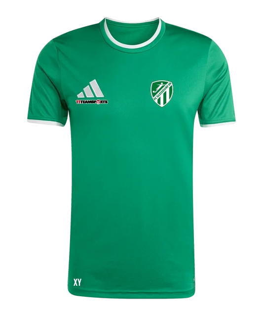 ADIDAS Entrada 26 Trikot Kids Grün FC Gleisdorf