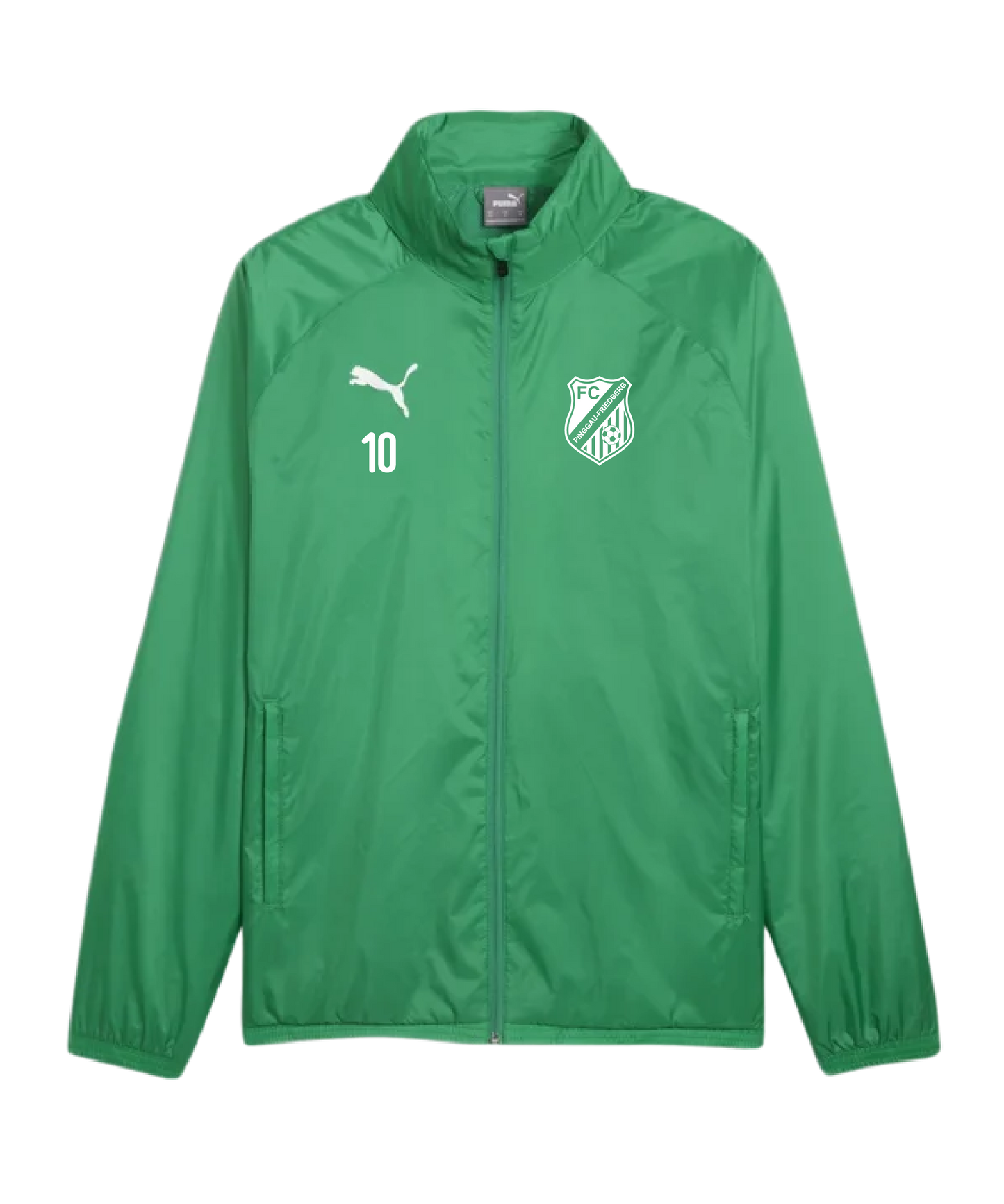 PUMA teamGOAL Allwetterjacke Grün Weiss