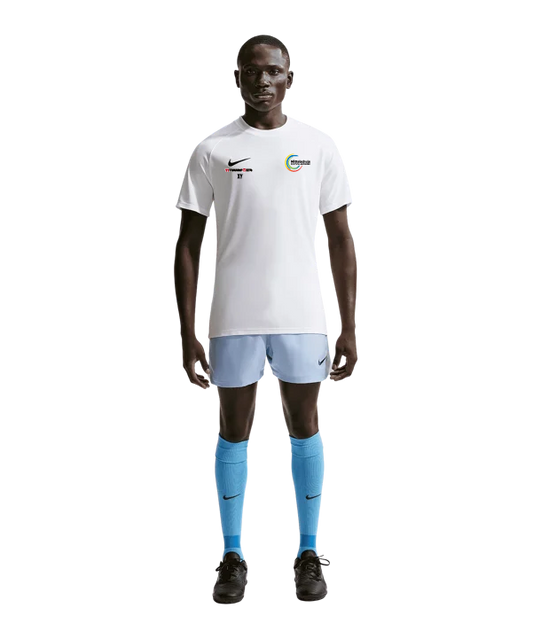 NIKE Park VIII Trikot Weiß MS Deutschlandsberg