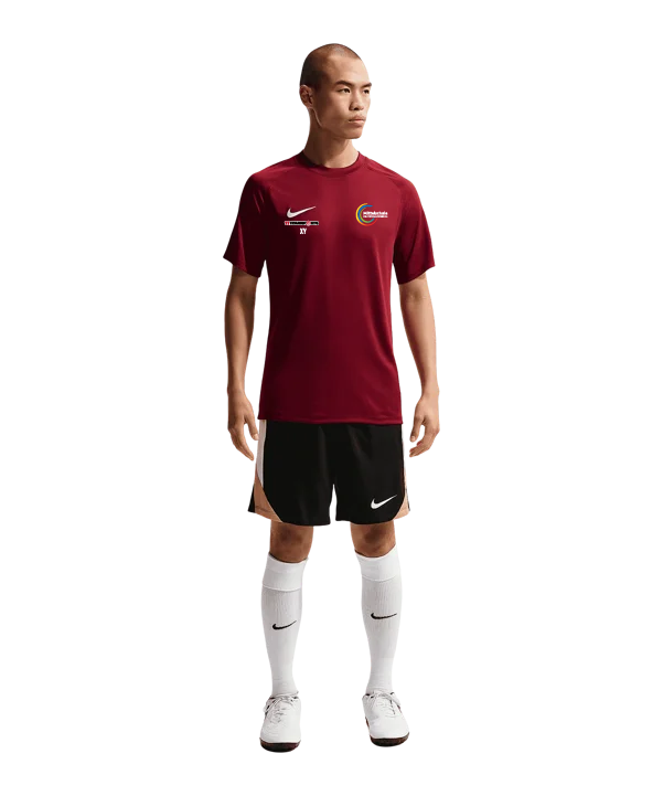 NIKE Park VIII Trikot Rot MS Deutschlandsberg