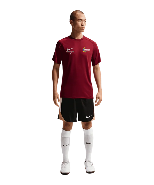 NIKE Park VIII Trikot Rot MS Deutschlandsberg