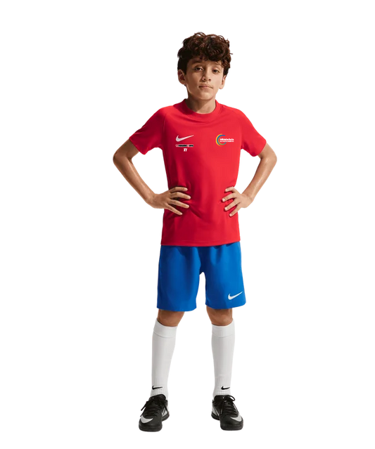 NIKE Park VIII Trikot Kids Rot MS Deutschlandsberg