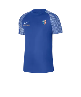 Nike Academy Trikot Kids Blau SU Hitzendorf